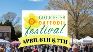 GSJ returns to the Gloucester Daffodil Festival! @ Gloucester Main Street